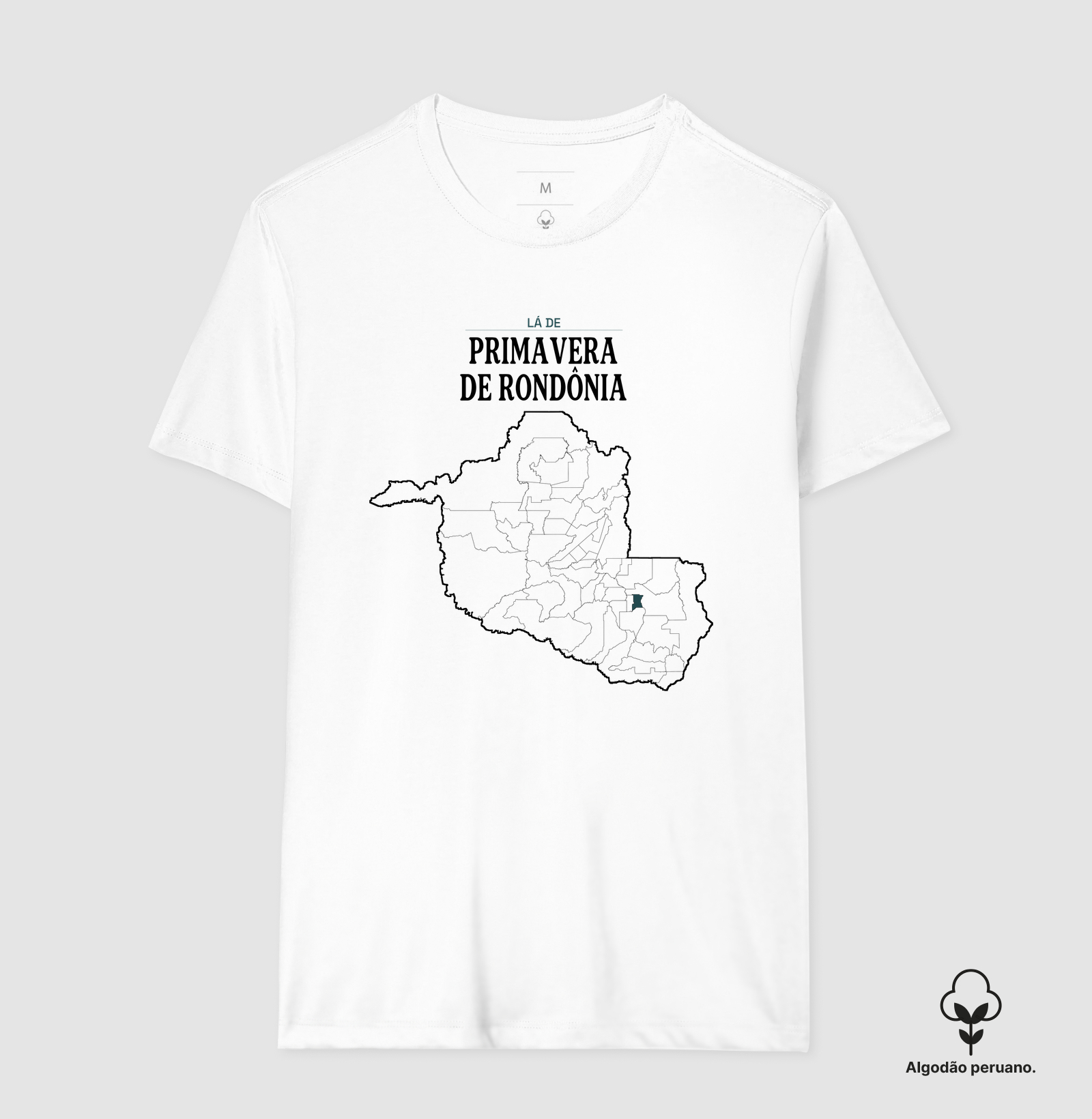 Primavera de Rondônia | Território RO - Imagem 7