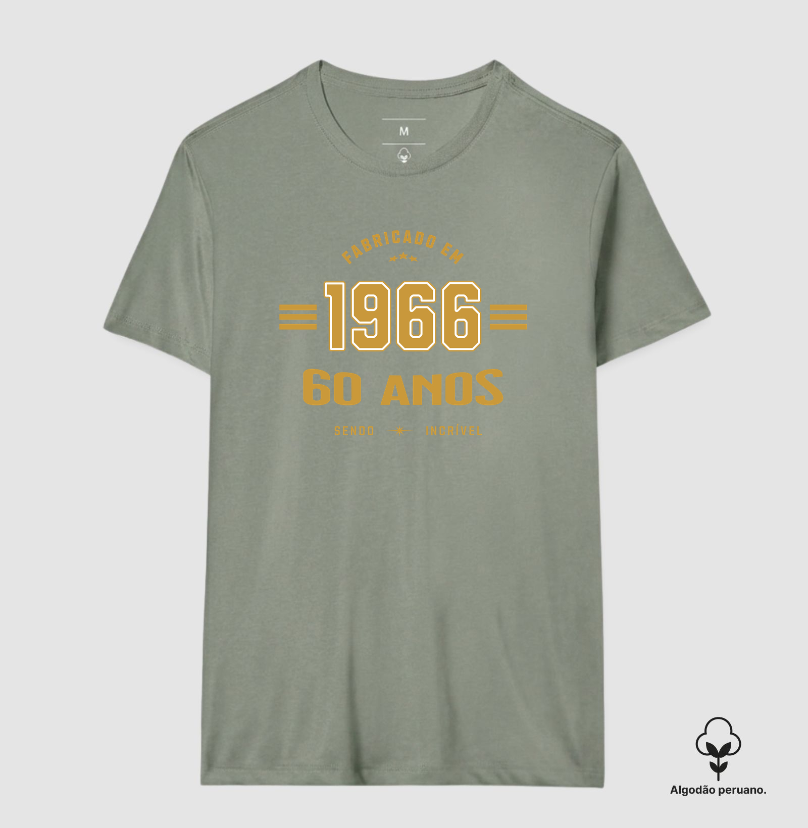 Fabricado em 1966 - Imagem 9