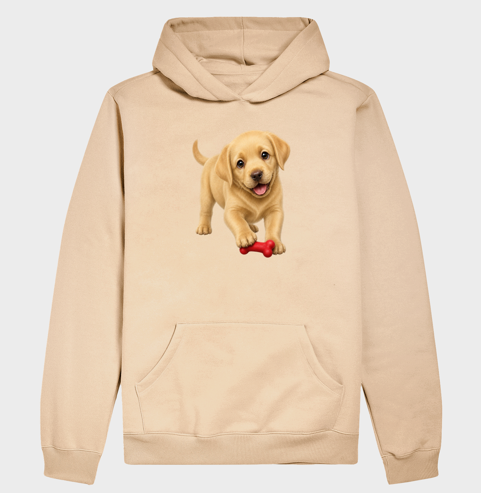 Labrador - Desenho Animado - Imagem 5