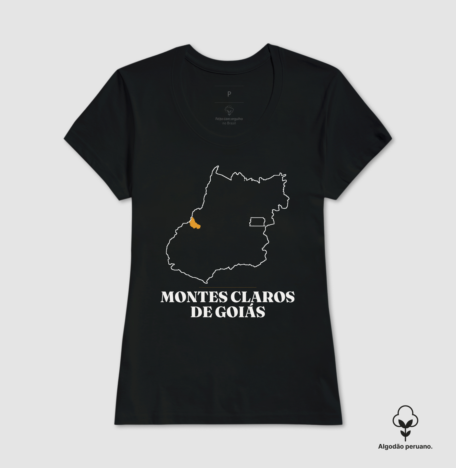 Montes Claros de Goiás | Traço GO - Imagem 4
