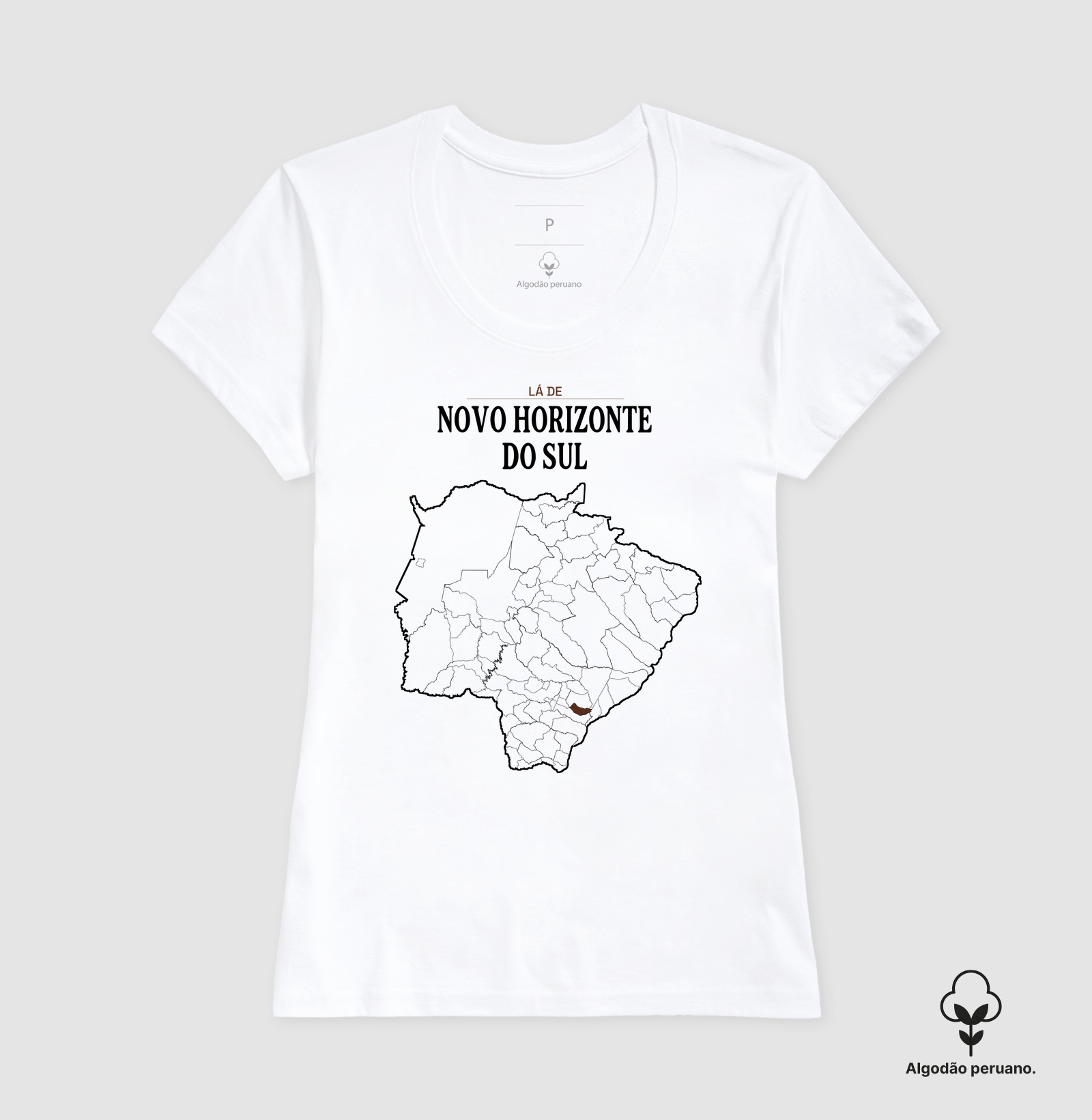 Novo Horizonte do Sul | Território MS - Imagem 5