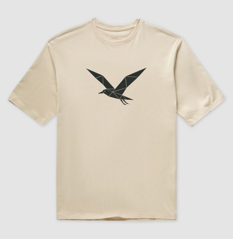 Gaivota - Imagem 3