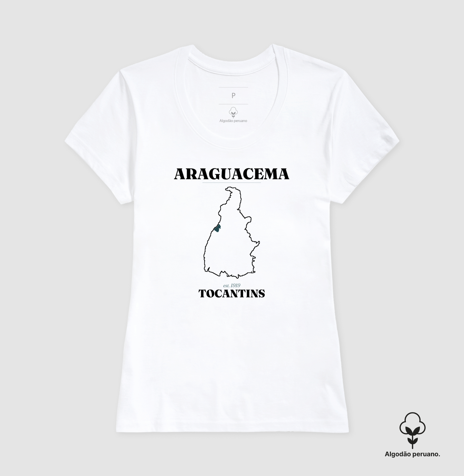 Araguacema | Legado TO - Imagem 9