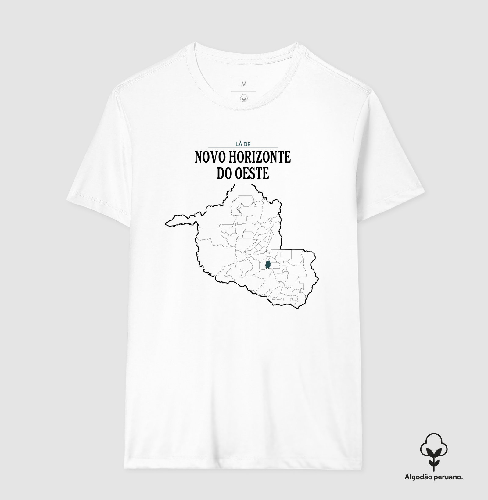 Novo Horizonte do Oeste | Território RO - Imagem 8