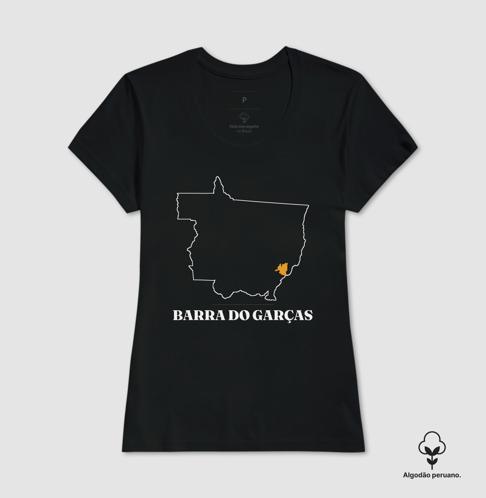 Barra do Garças | Traço MT - Imagem 4