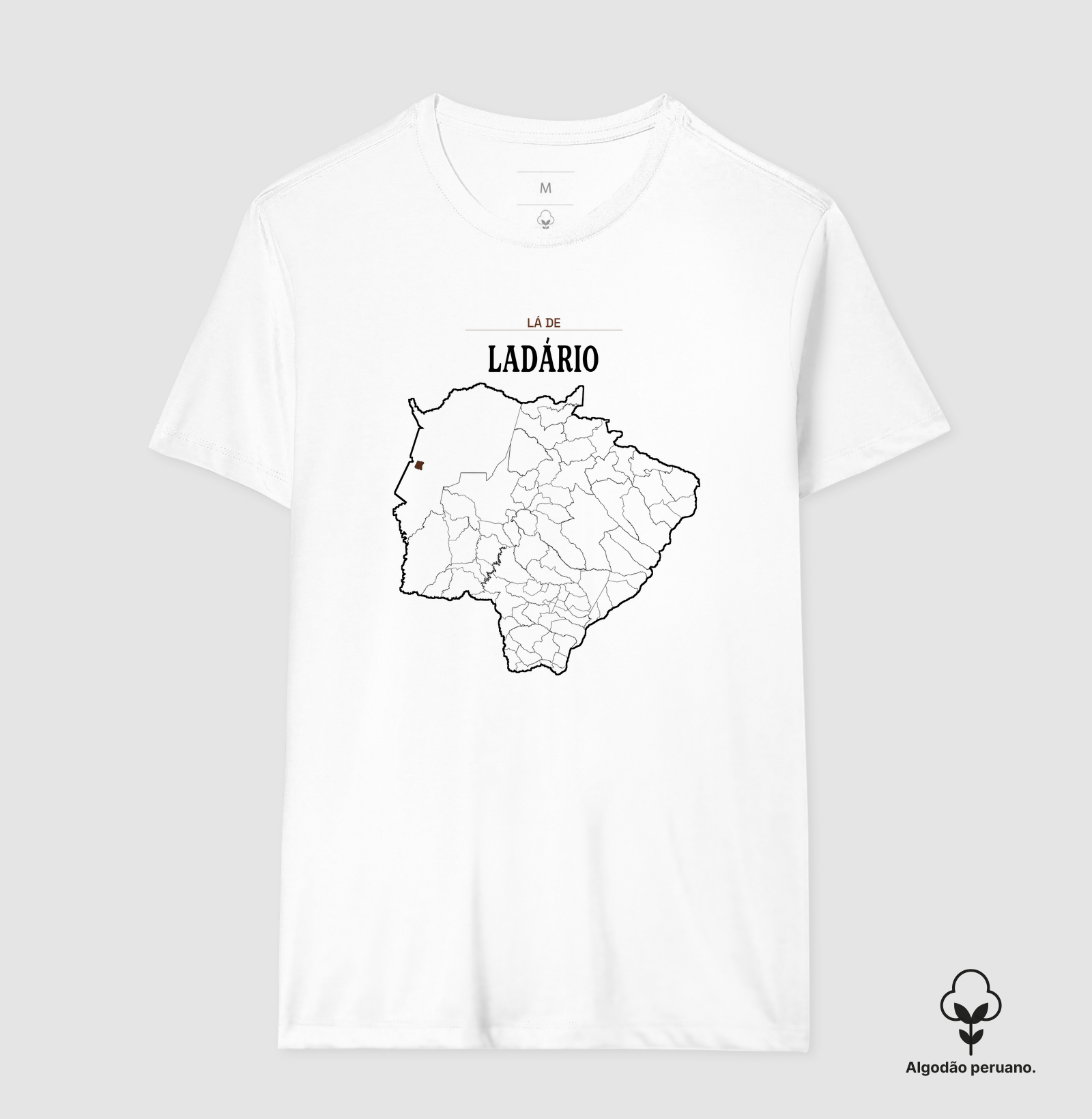 Ladário | Território MS - Imagem 3