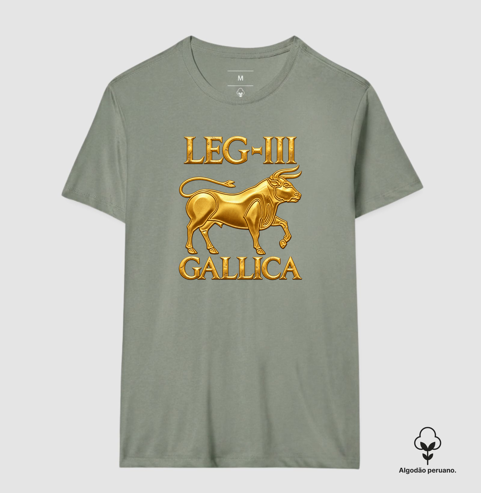 LEGIO — III Gallica - III - Imagem 7