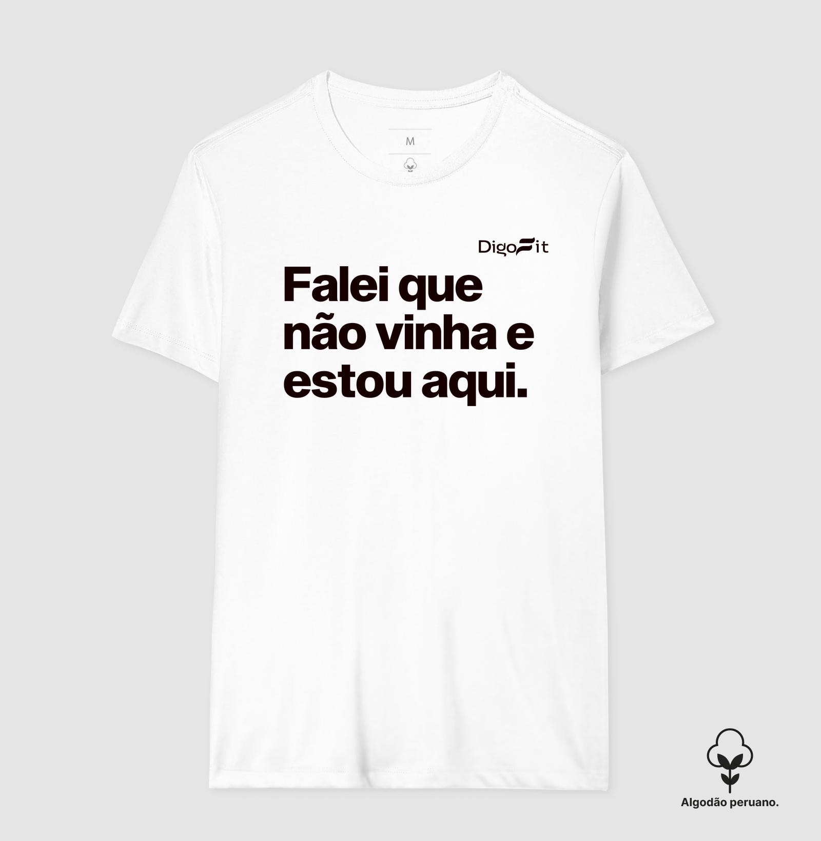 CAMISETA ALGODÃO PERUANO ACADEMIA FALEI QUE NÃO VINHA E ESTOU AQUI - Imagem 6