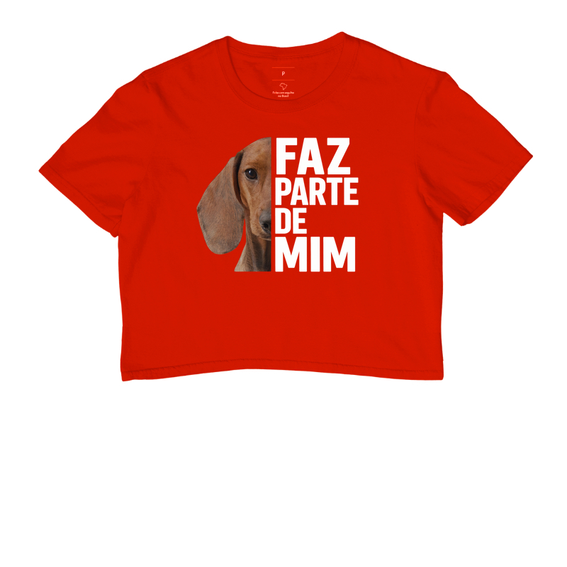 Faz parte de mim - Imagem 7