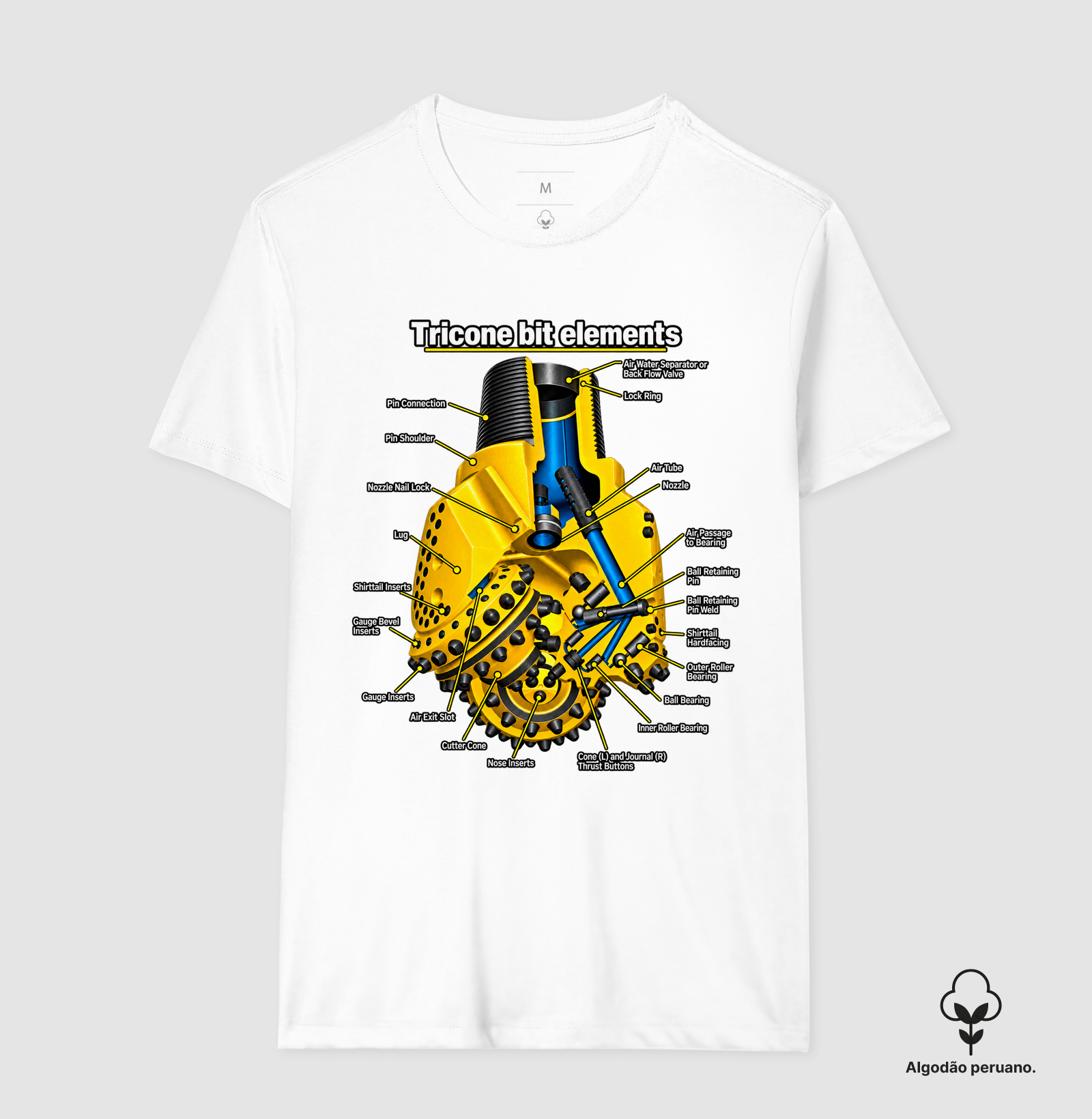 Anatomia da Broca Tricônica - Imagem 4