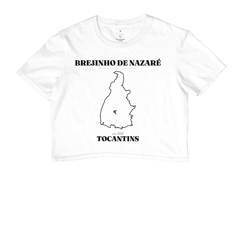 Brejinho de Nazaré | Legado TO - Imagem 3