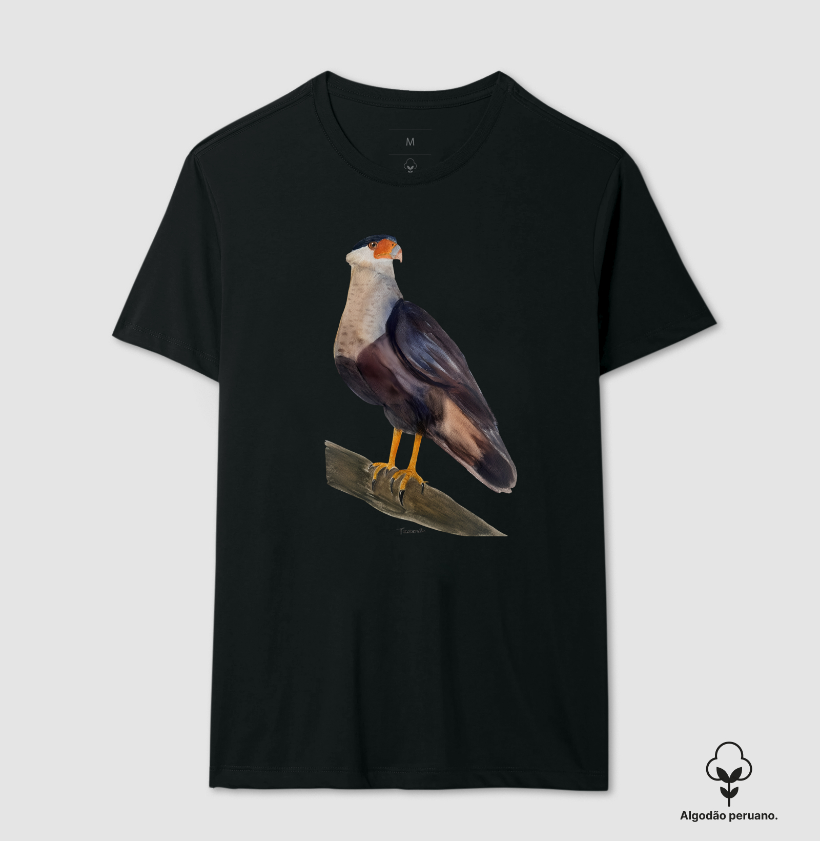 Camiseta Carcará – Aves do Brasil Algodão Peruano - Imagem 4