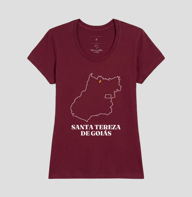 Santa Tereza de Goiás | Traço GO - Imagem 19