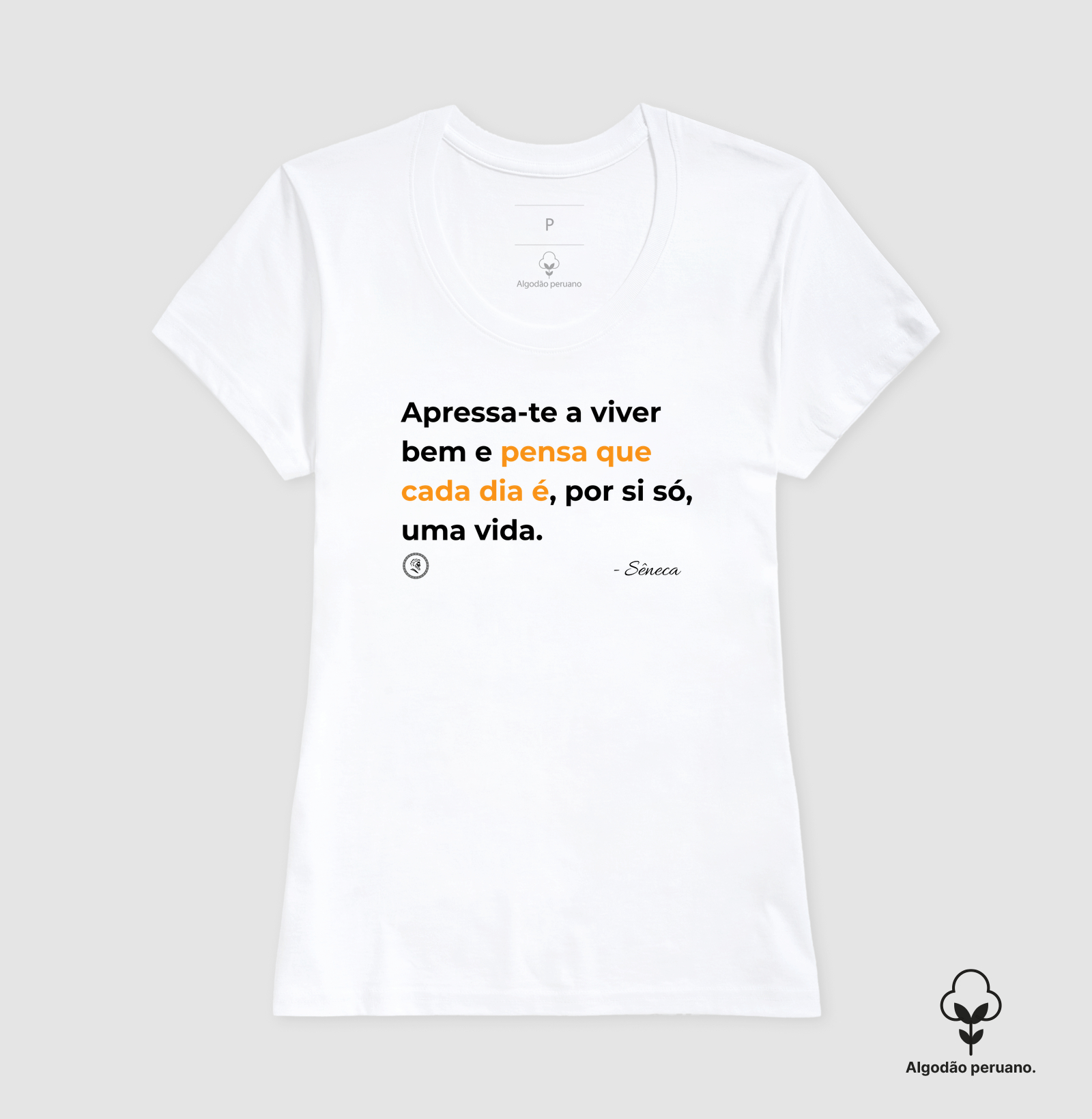 Estocisimo de Sêneca "Apressa-te a viver bem" - Imagem 7
