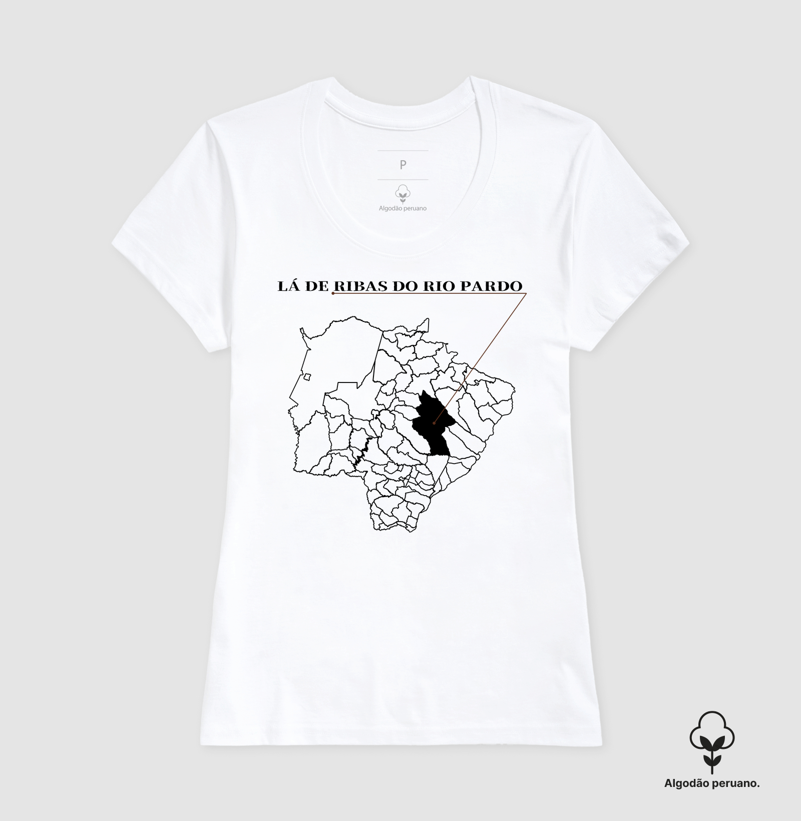 Ribas do Rio Pardo | Origem MS - Imagem 5
