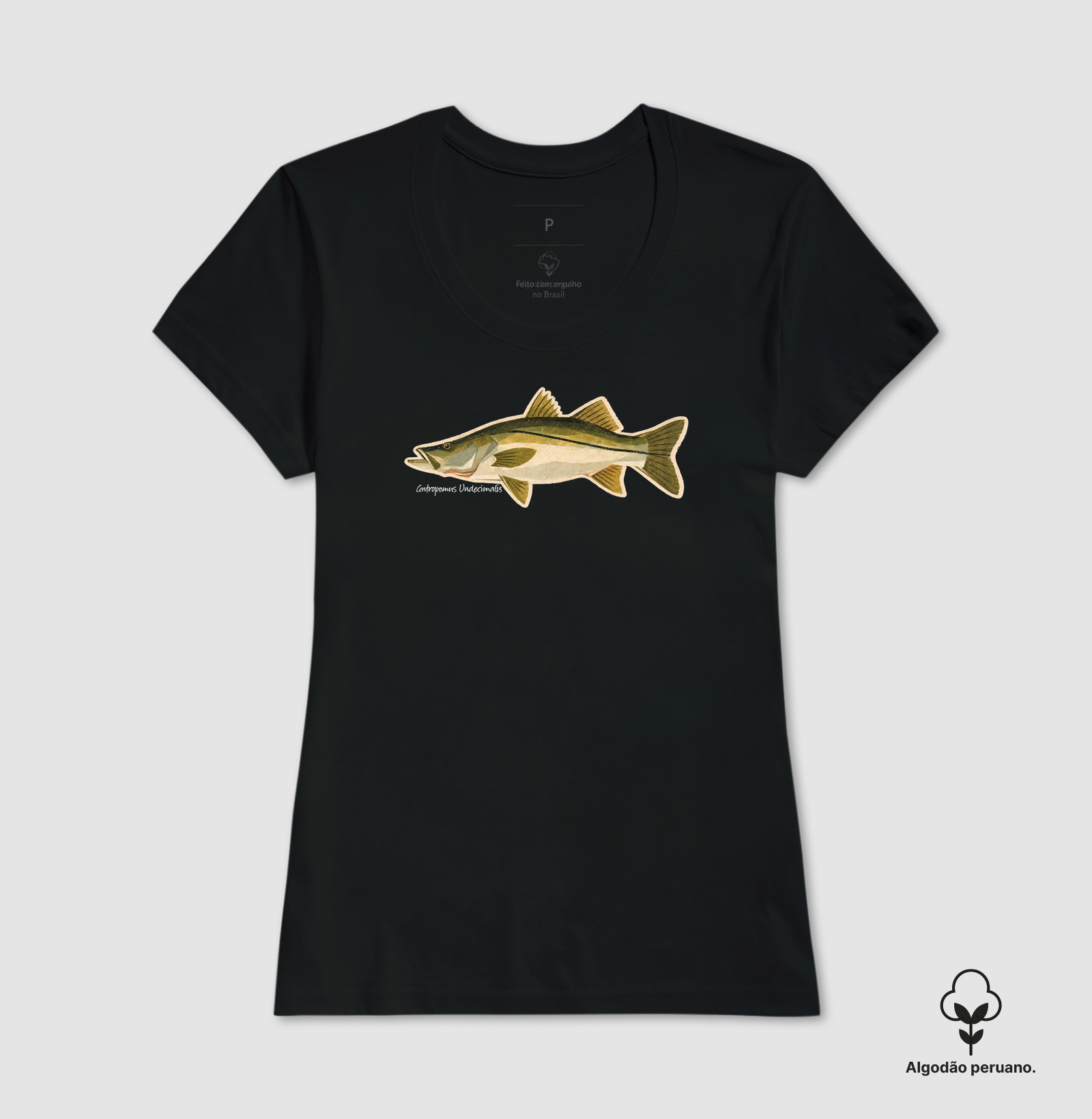 Robalo - Imagem 7