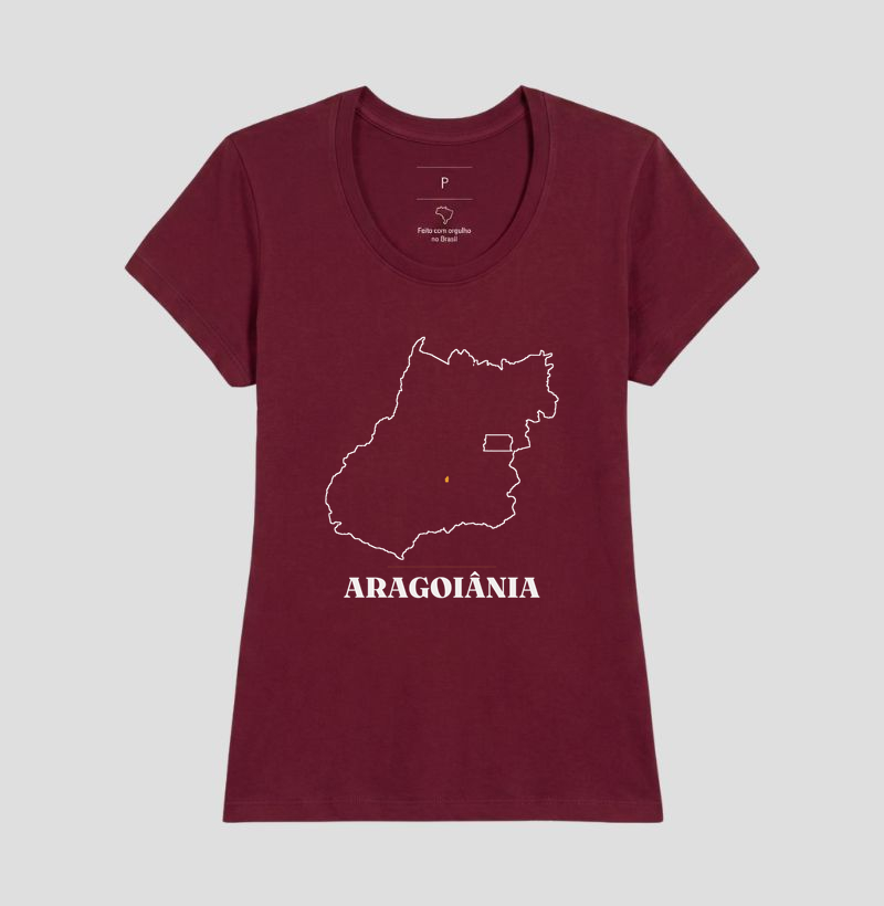Aragoiânia | Traço GO - Imagem 19