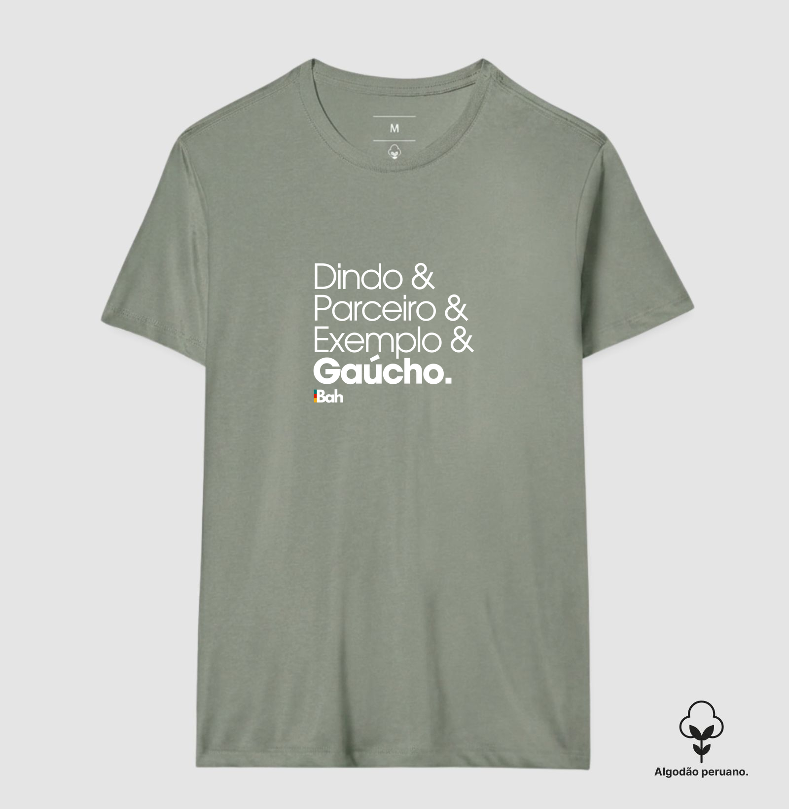 Dindo & Parceiro & Exemplo & Gaúcho. - Imagem 4