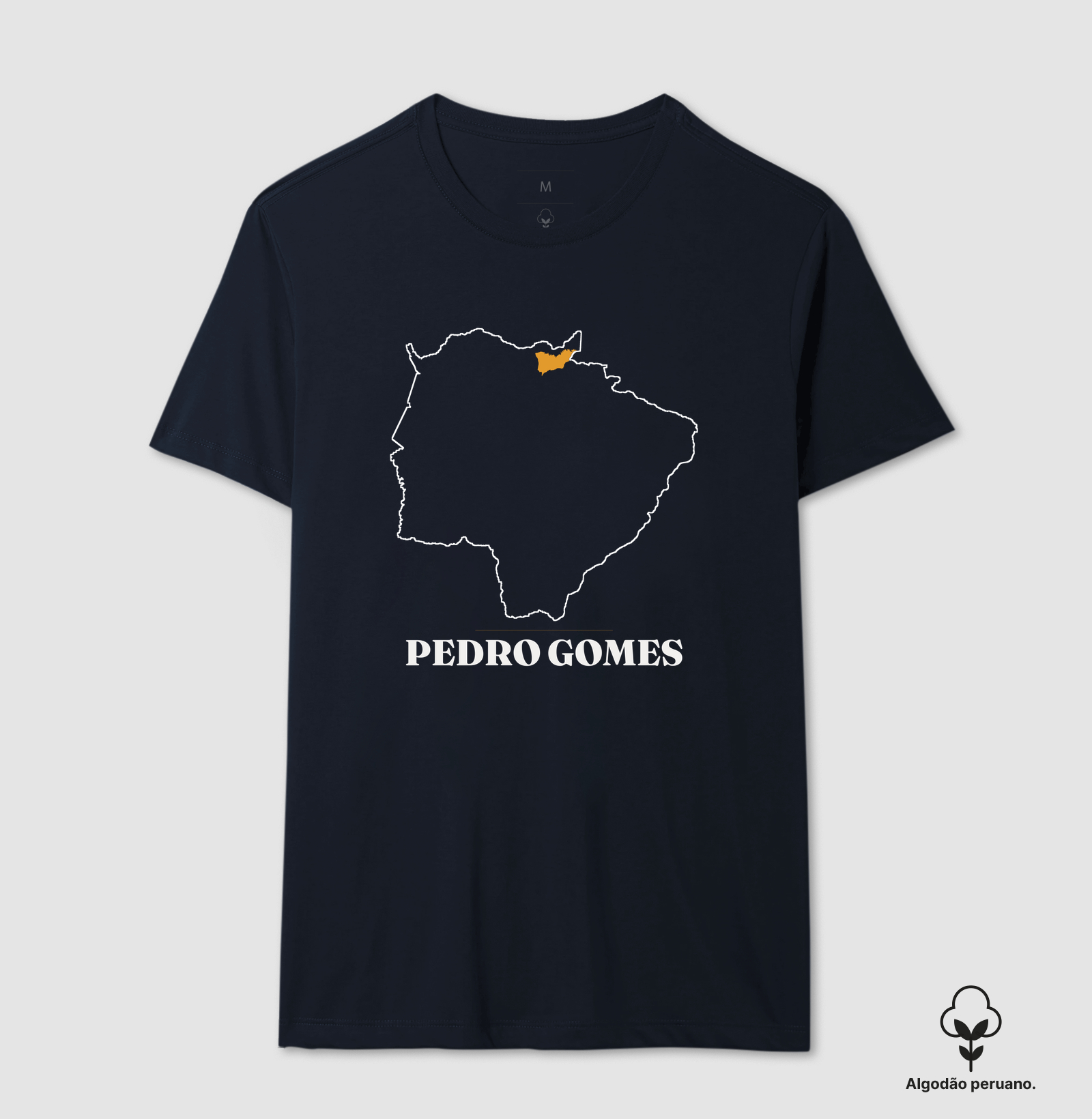 Pedro Gomes | Traço MS - Imagem 8