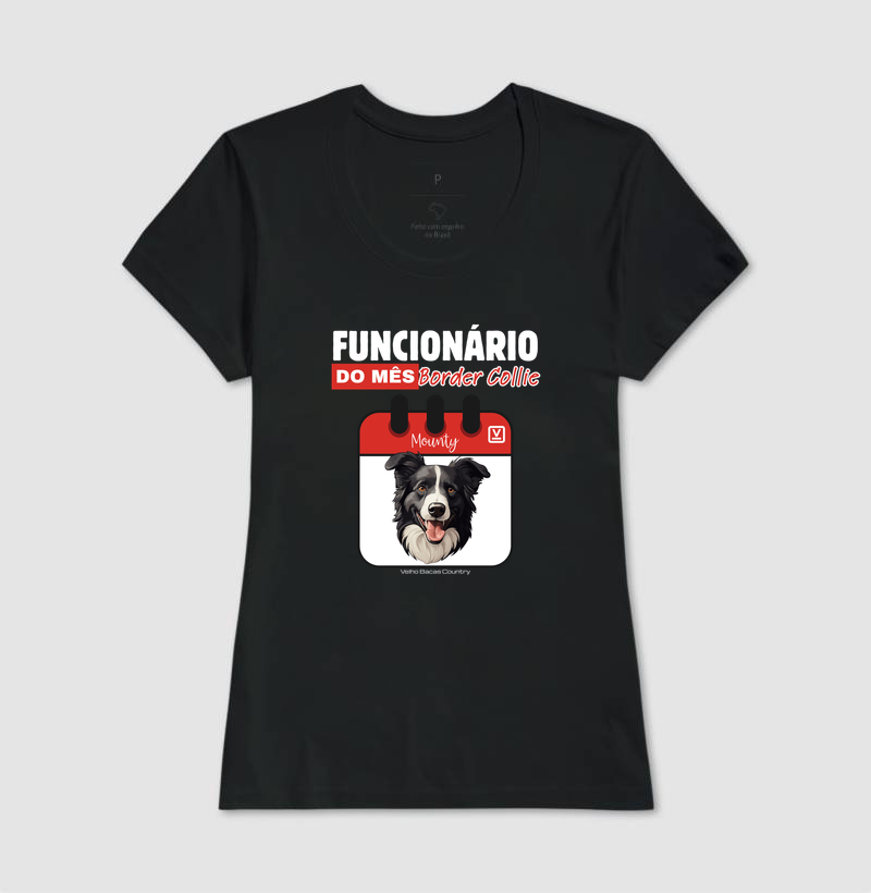 Border Collie - Imagem 5