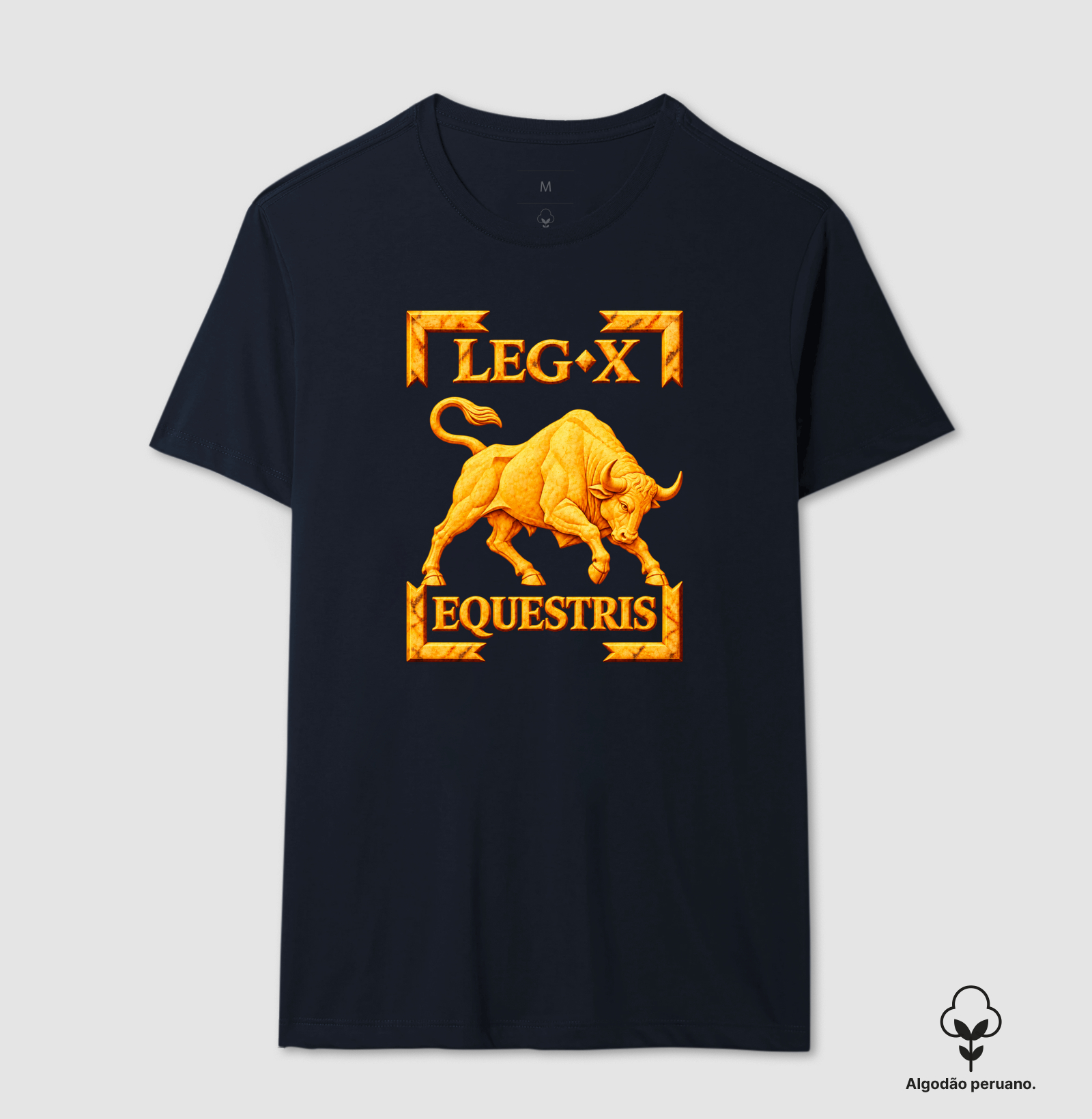 LEGIO — X Equestris - III - Imagem 6