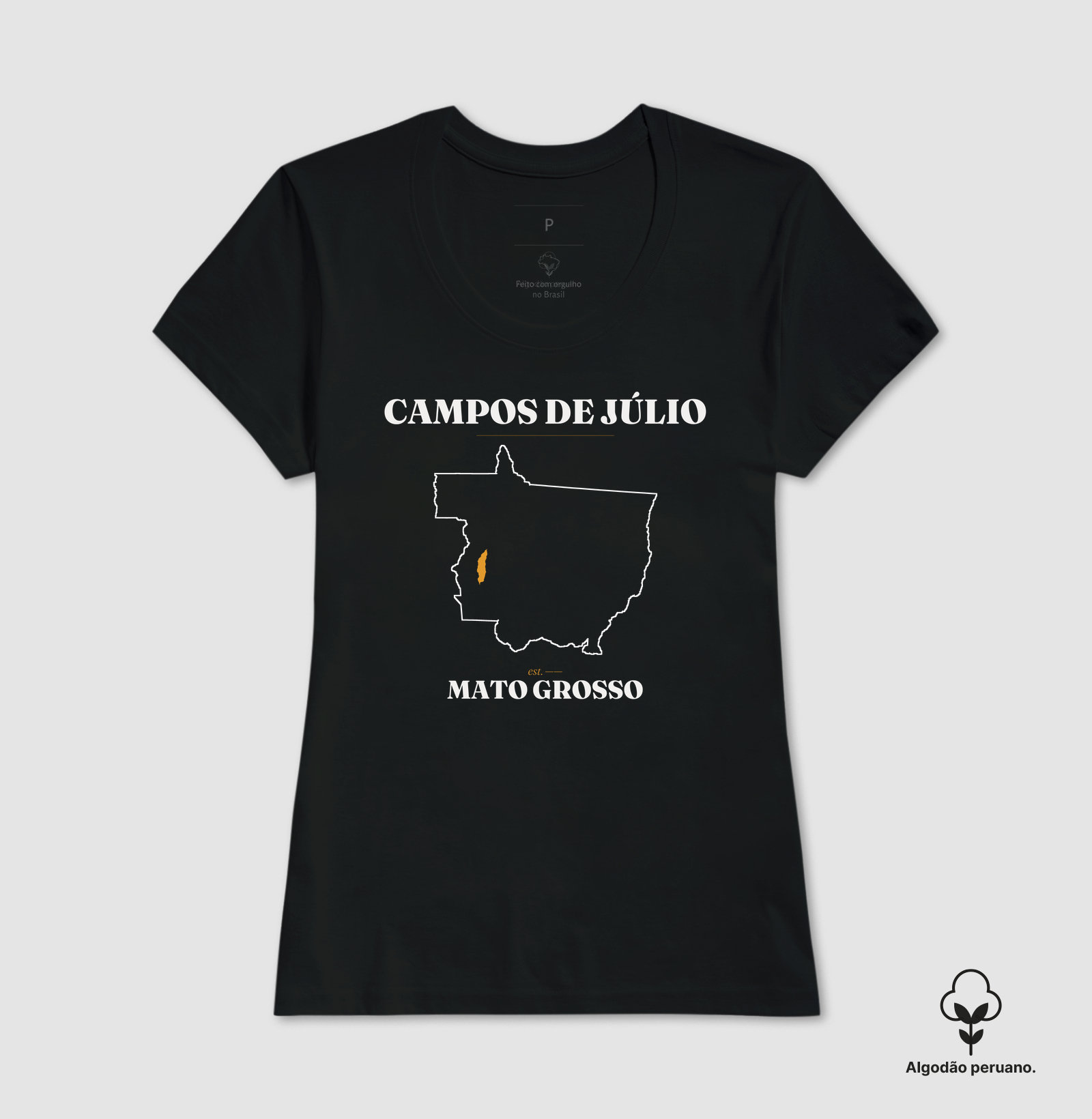 Campos de Júlio | Legado MT - Imagem 9