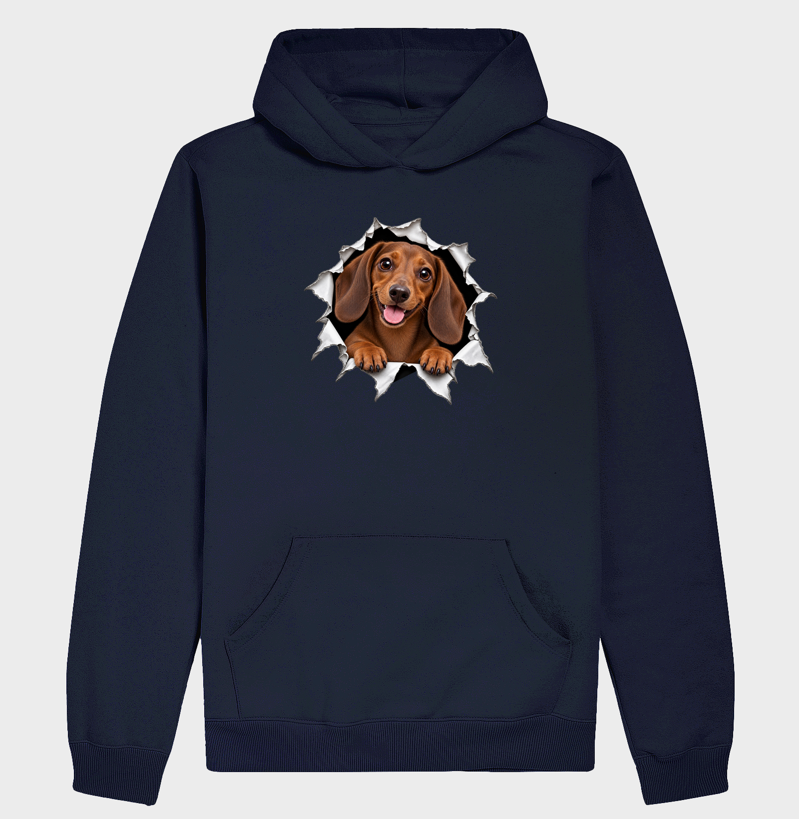 Dachshund Saindo Pelo Rasgo - Imagem 4