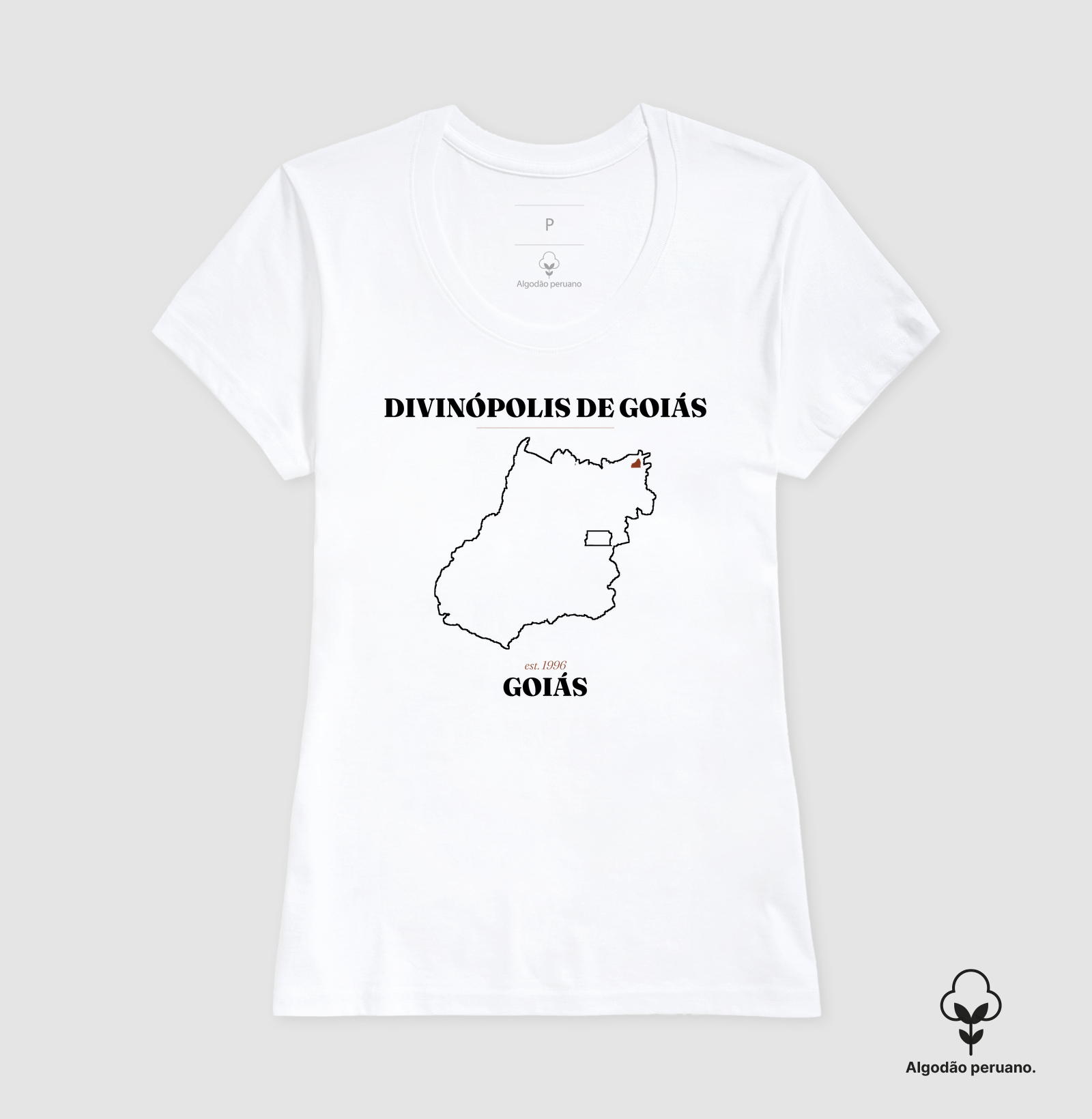 Divinópolis de Goiás | Legado GO - Imagem 8