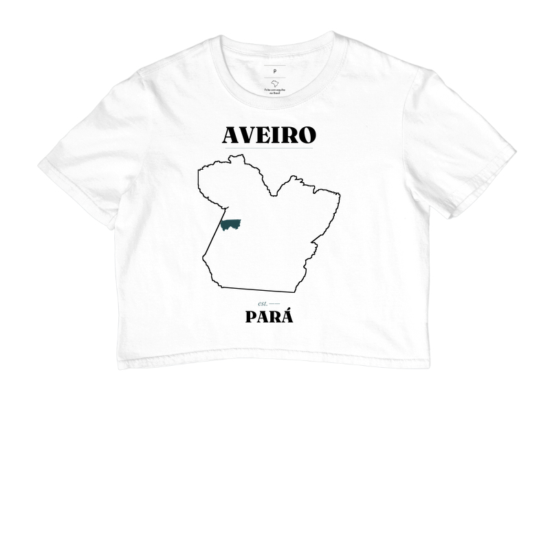 Aveiro | Legado PA - Imagem 3