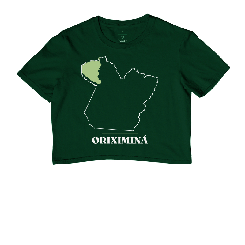 Oriximiná | Traço PA - Imagem 5