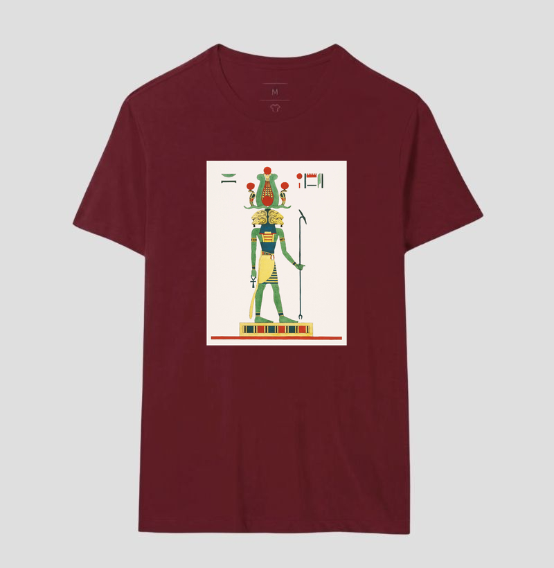 Camisa 17