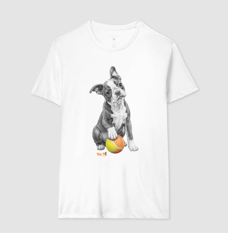 Boston Terrier do Beach - Imagem 4
