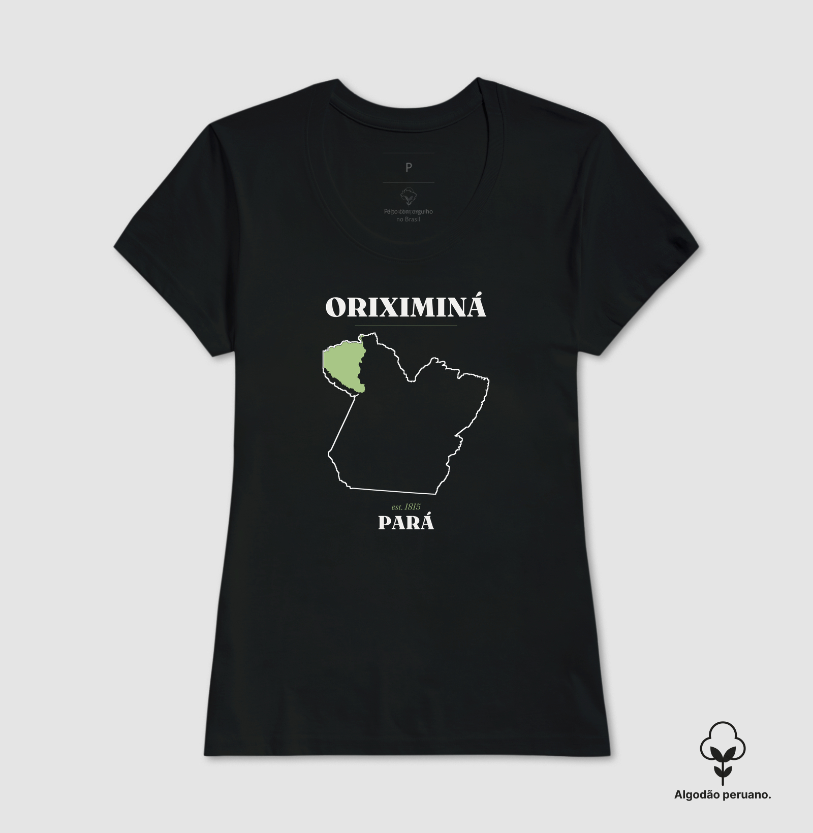 Oriximiná | Legado PA - Imagem 6