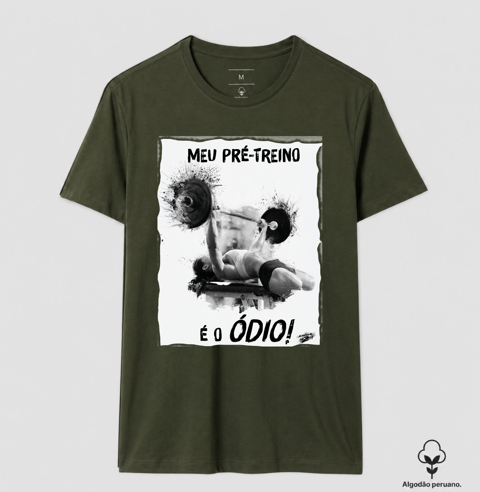 "MEU PRÉ-TREINO É O ÓDIO!". 03 - Imagem 8