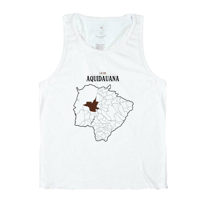 Aquidauana | Território MS - Imagem 2
