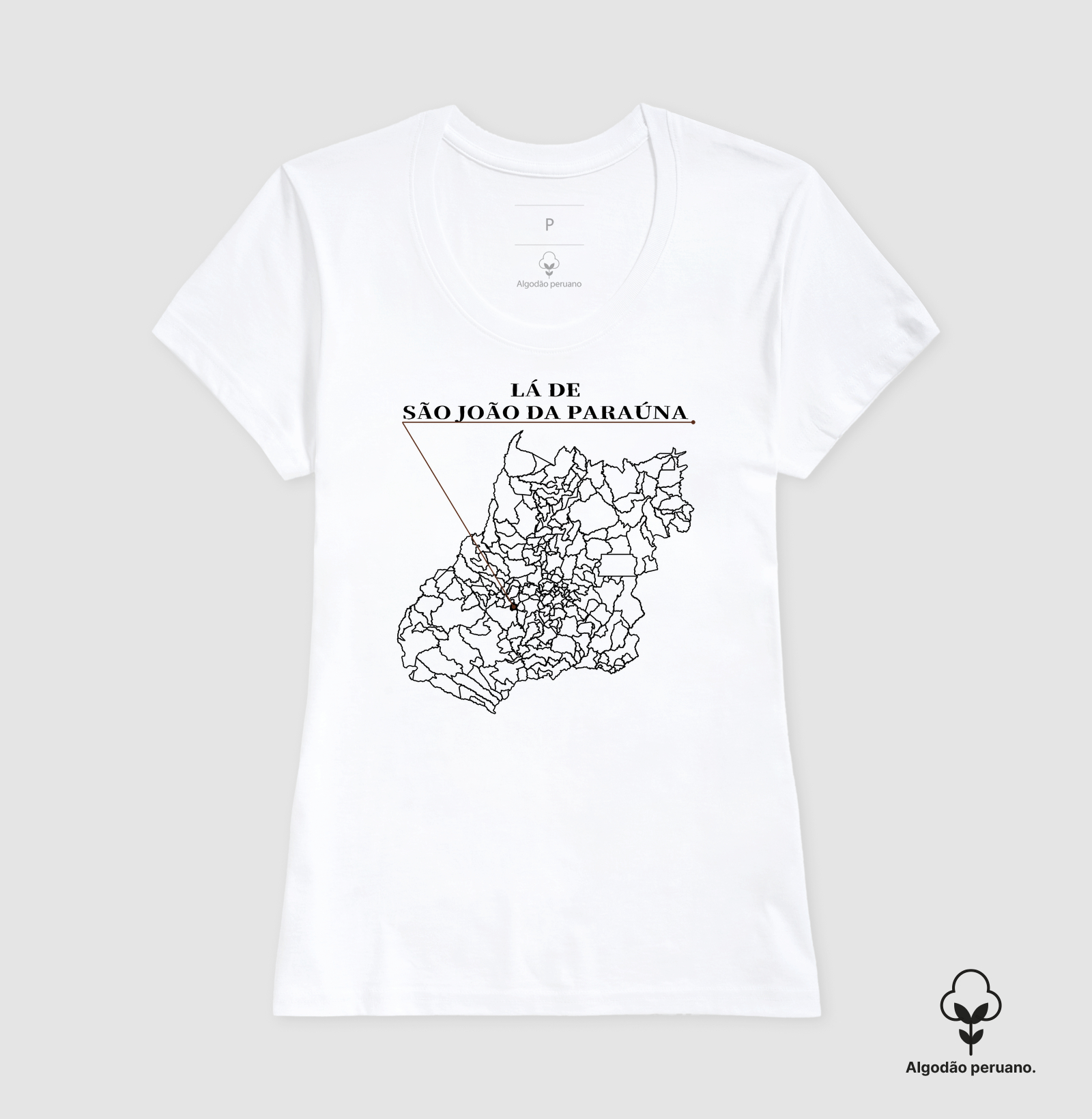 São João da Paraúna | Origem GO - Imagem 5