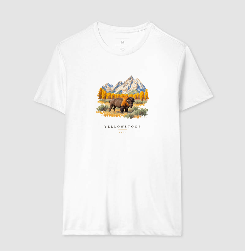 Bison - Yellowstone - Imagem 4