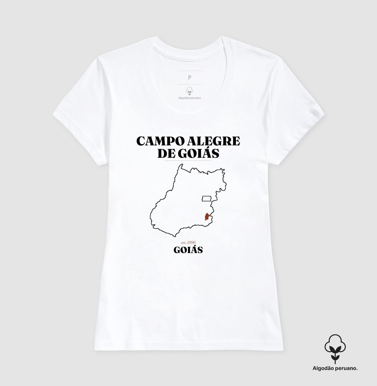 Campo Alegre de Goiás | Legado GO - Imagem 9