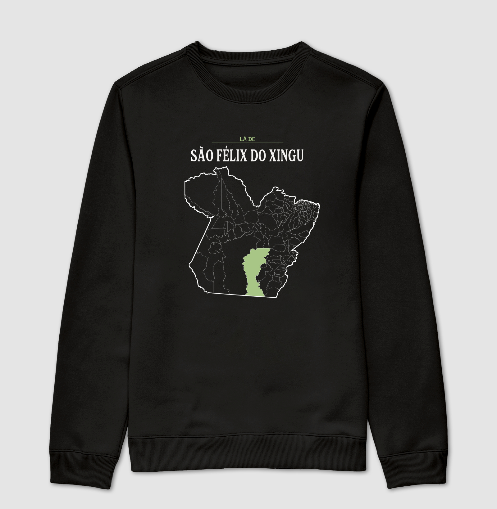São Félix do Xingu | Território PA - Imagem 4