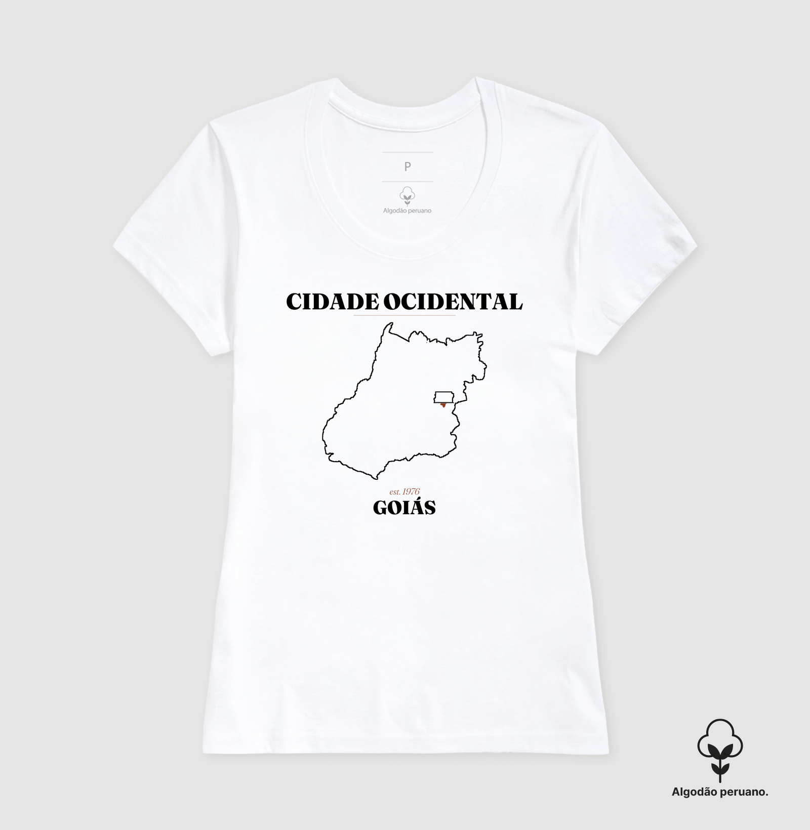 Cidade Ocidental | Legado GO - Imagem 7