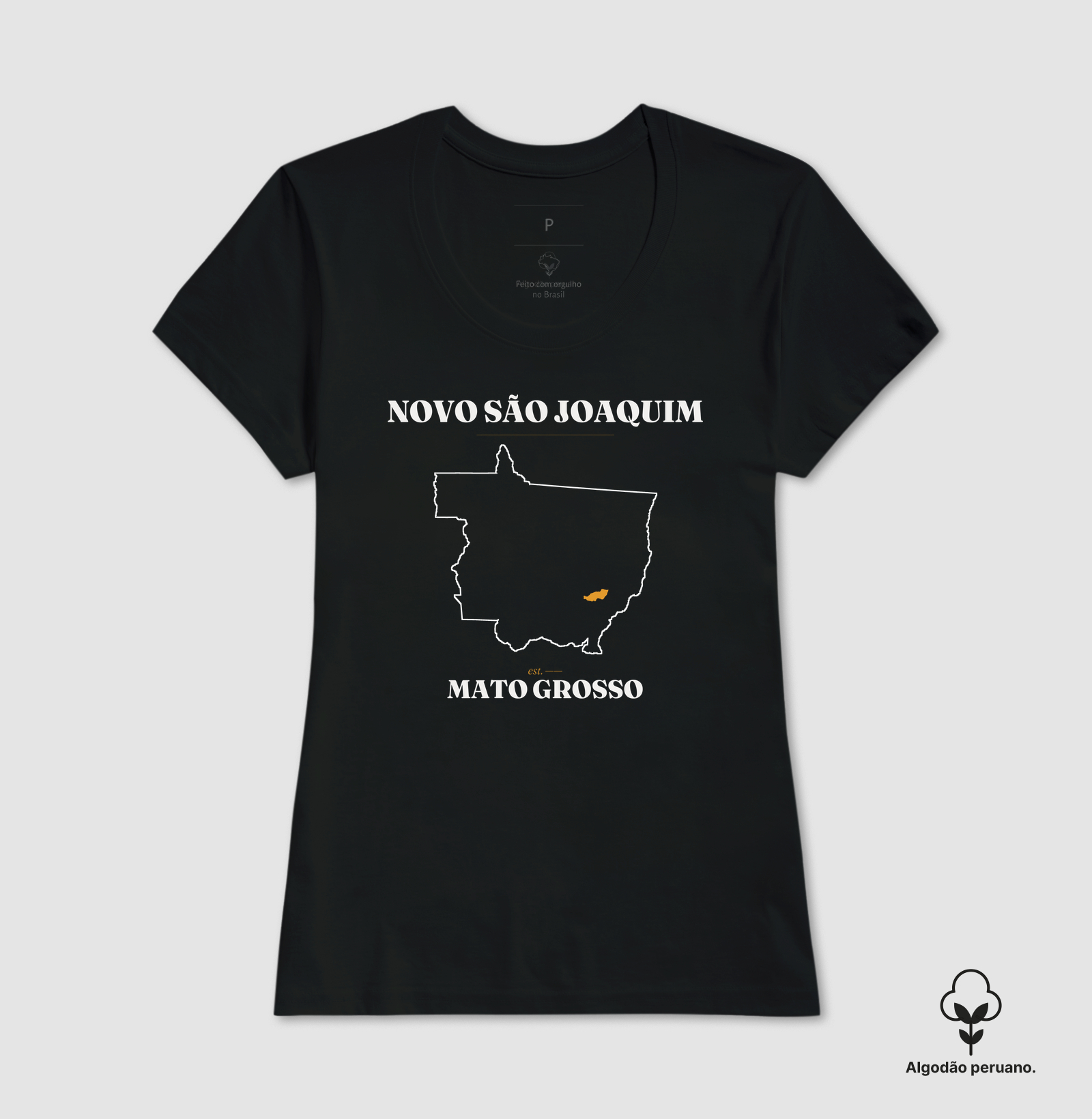 Novo São Joaquim | Legado MT - Imagem 9