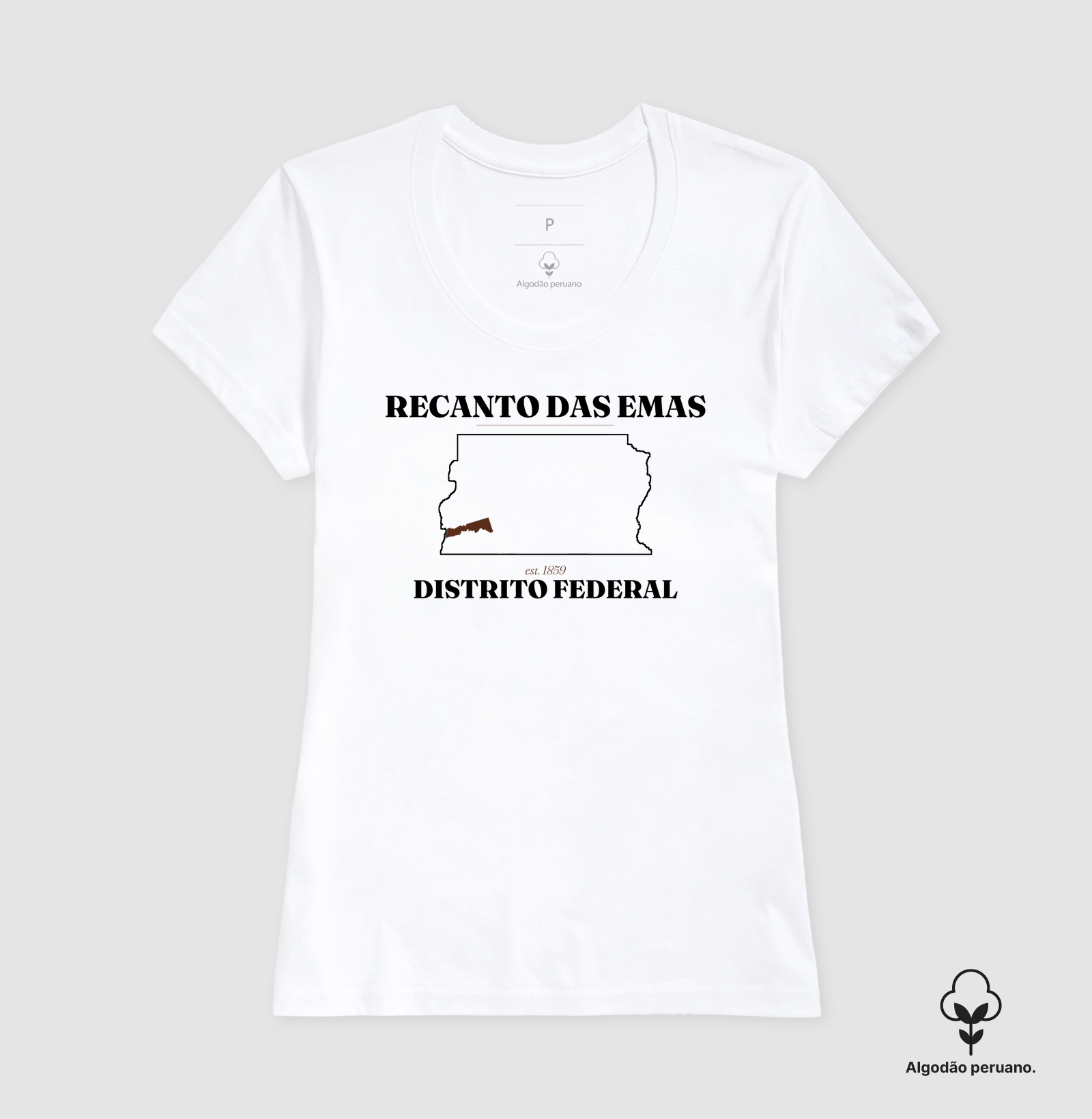 Recanto das Emas | Legado DF - Imagem 6