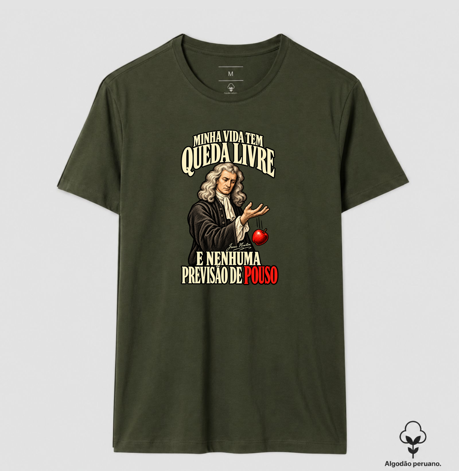 Vida tem Queda Livre - Isaac Newton - Imagem 8