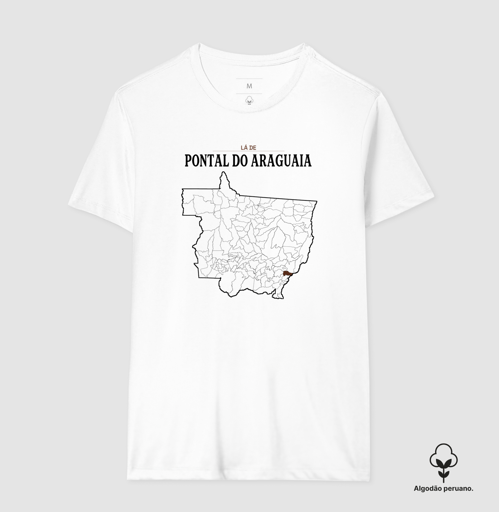 Pontal do Araguaia | Território MT - Imagem 3