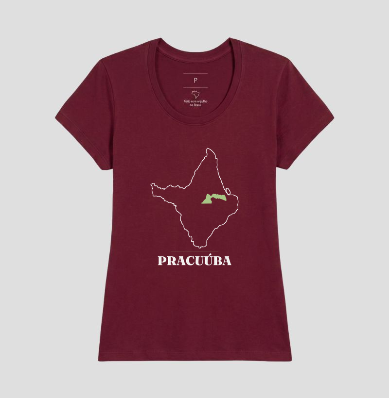 Pracuúba | Traço AP - Imagem 19