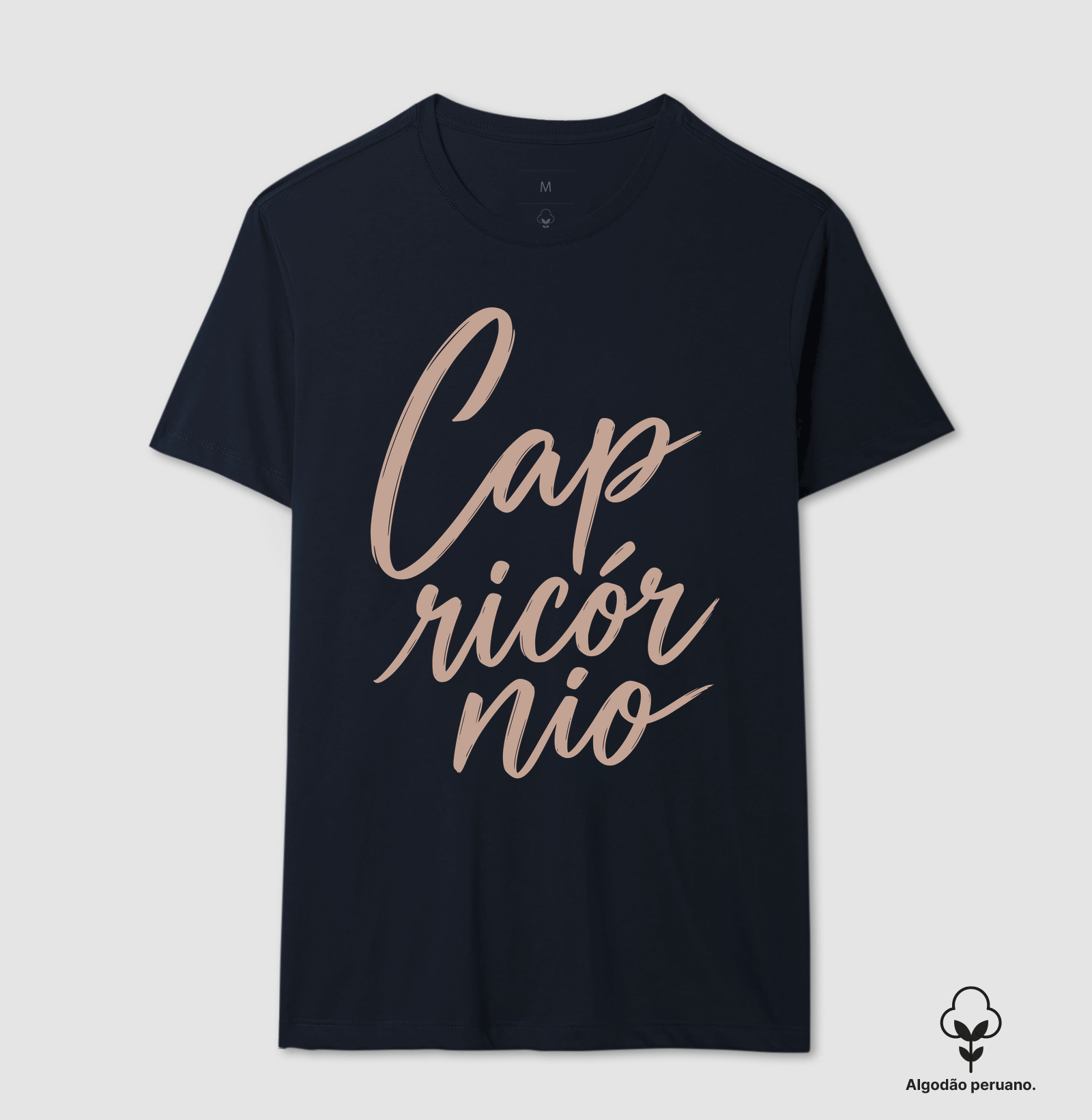 Capricórnio - Imagem 7