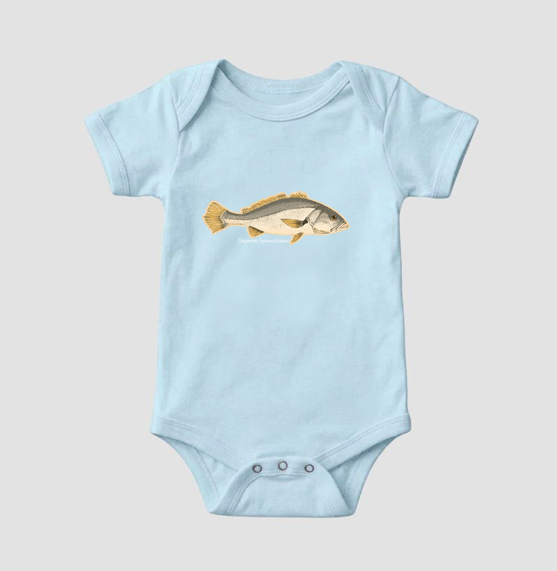 🎣 Corvina 🐟 - Imagem 4