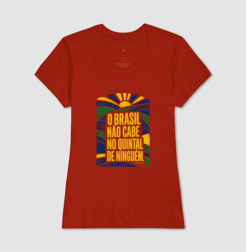 O Brasil não cabe no quintal de ninguém - Imagem 7