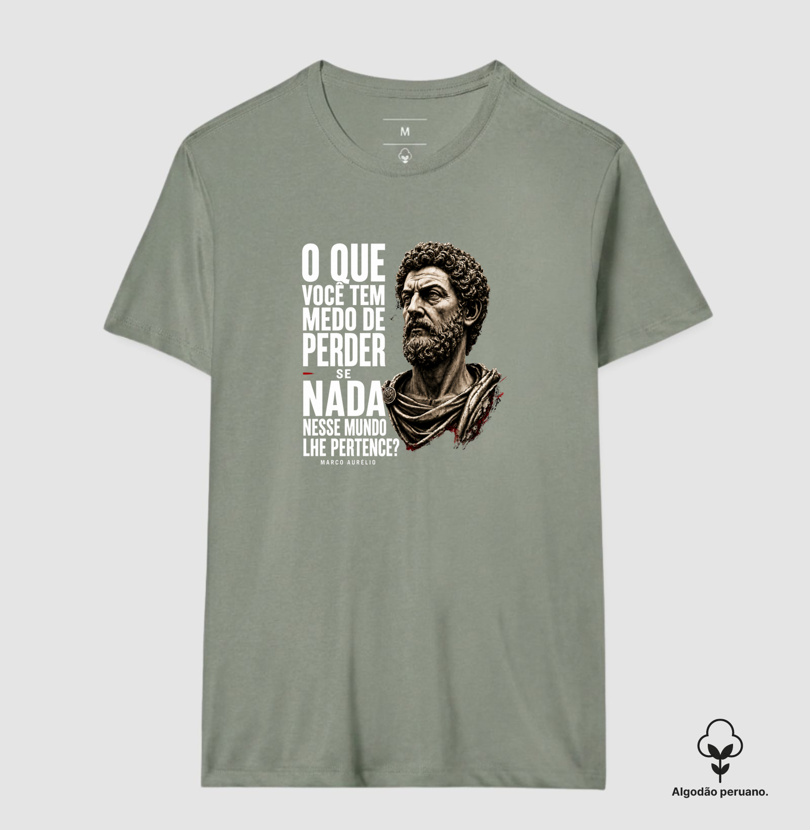 Filosofia de Marco Aurélio - O que você tem medo? - Imagem 8