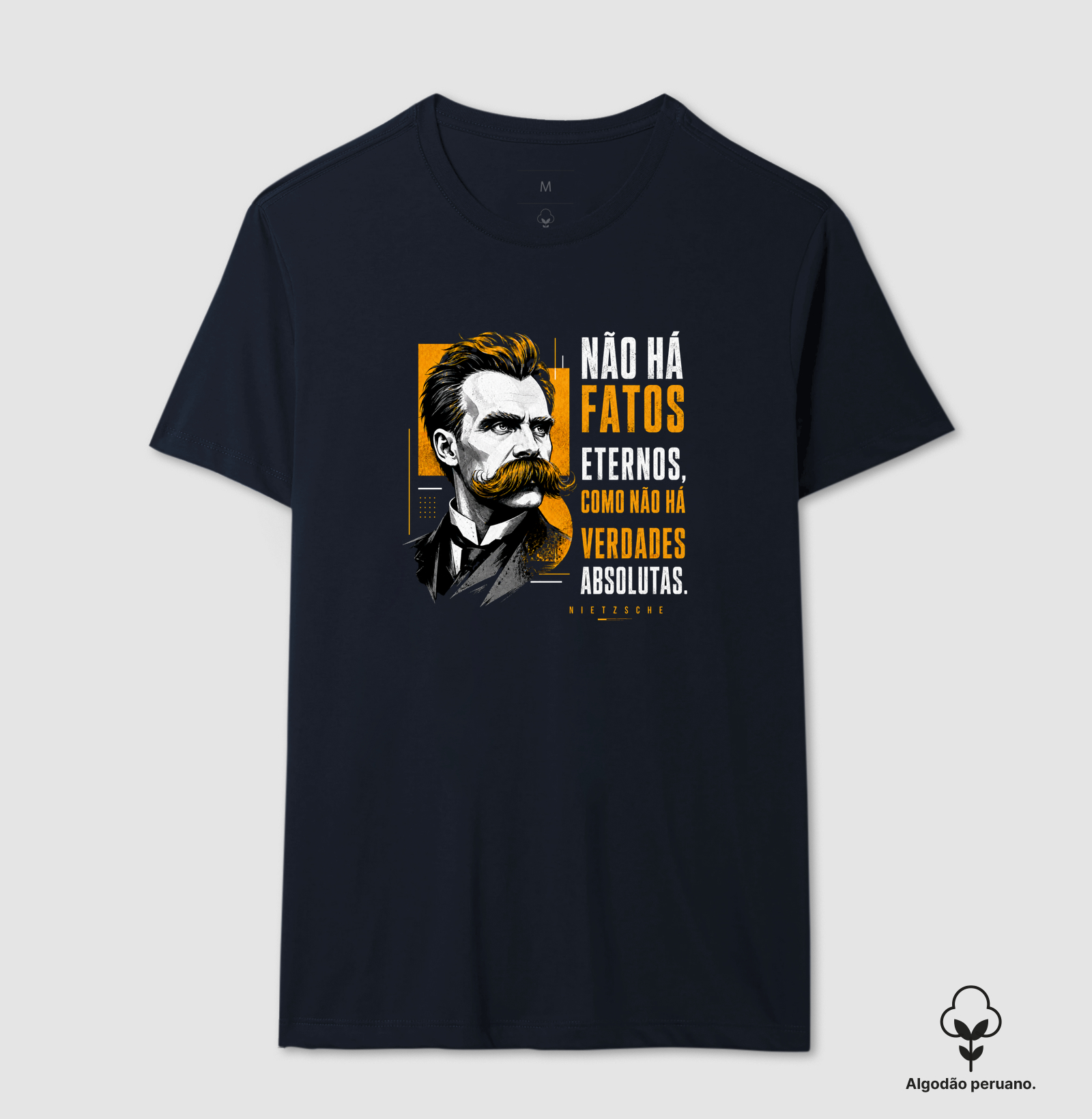 Filosofia de Nietzsche "Não há fatos eternos" - Imagem 3